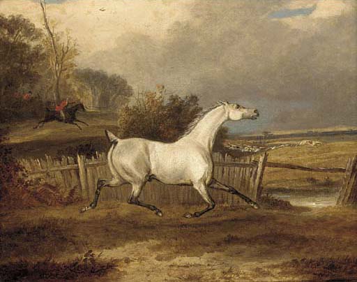 A Grey In A Paddock With A Hunt Beyond — Francis Calcraft Turner