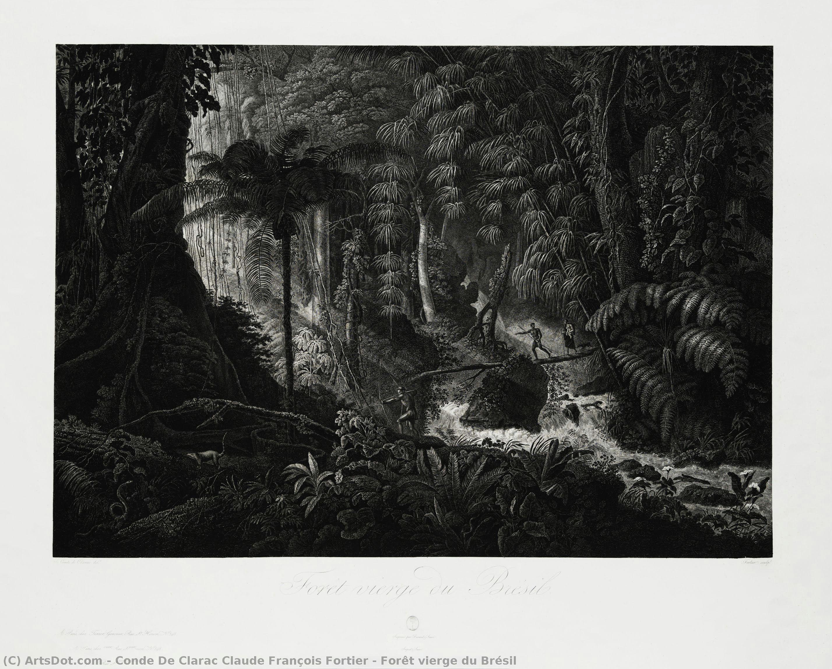 Forêt Vierge Du Brésil — Claude-françois Fortier