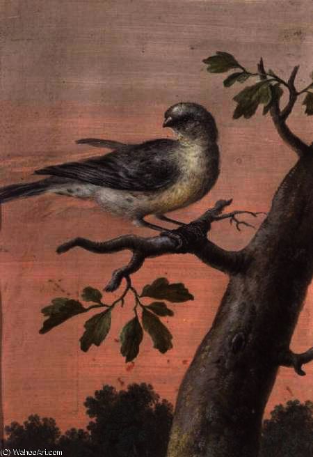 A Bird On A Branch, (gouache — Christoph Ludwig Agricola