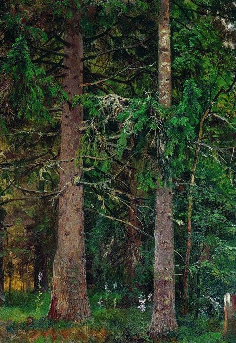Fir Forest — イワン・イヴァノヴィッチ・シシキン