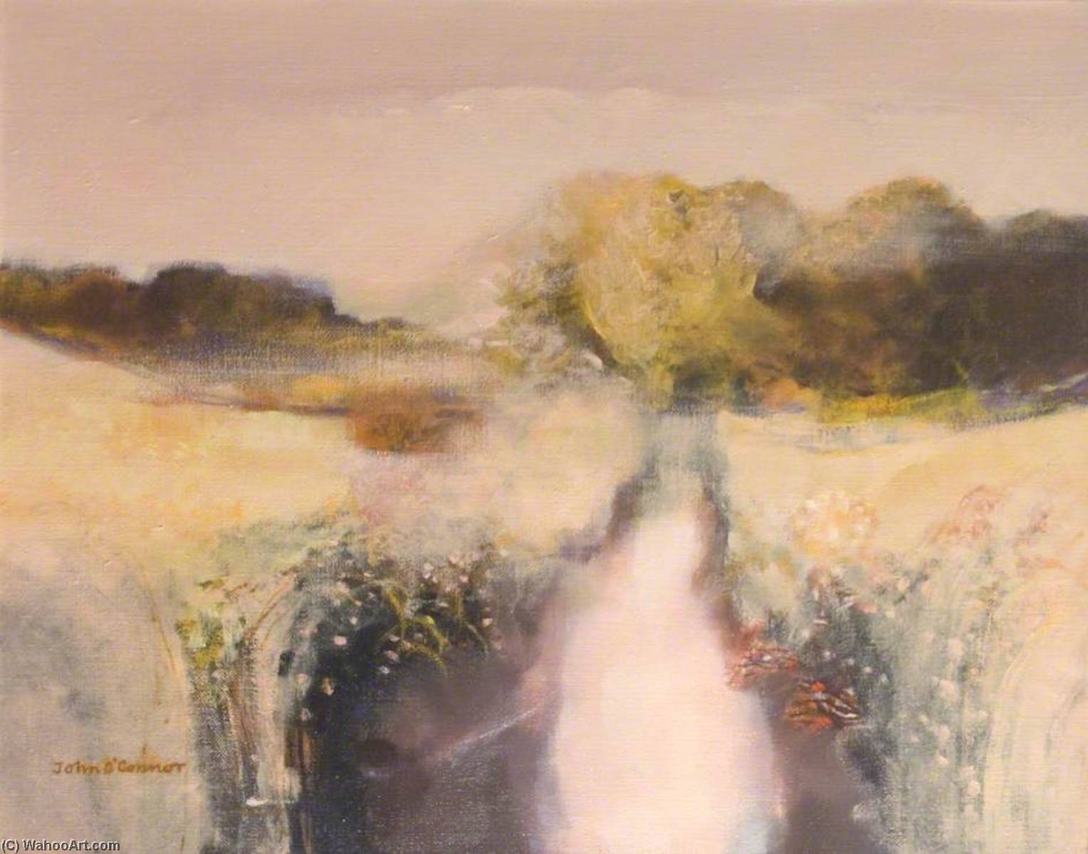 Burn At Conchieton — John Scorror O'connor