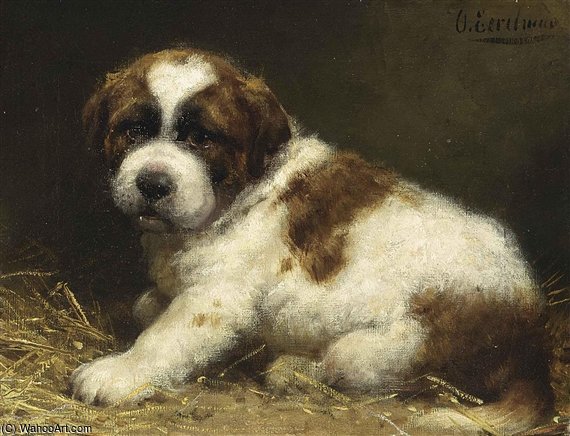 A Saint Bernard Puppy — Oto Erelman