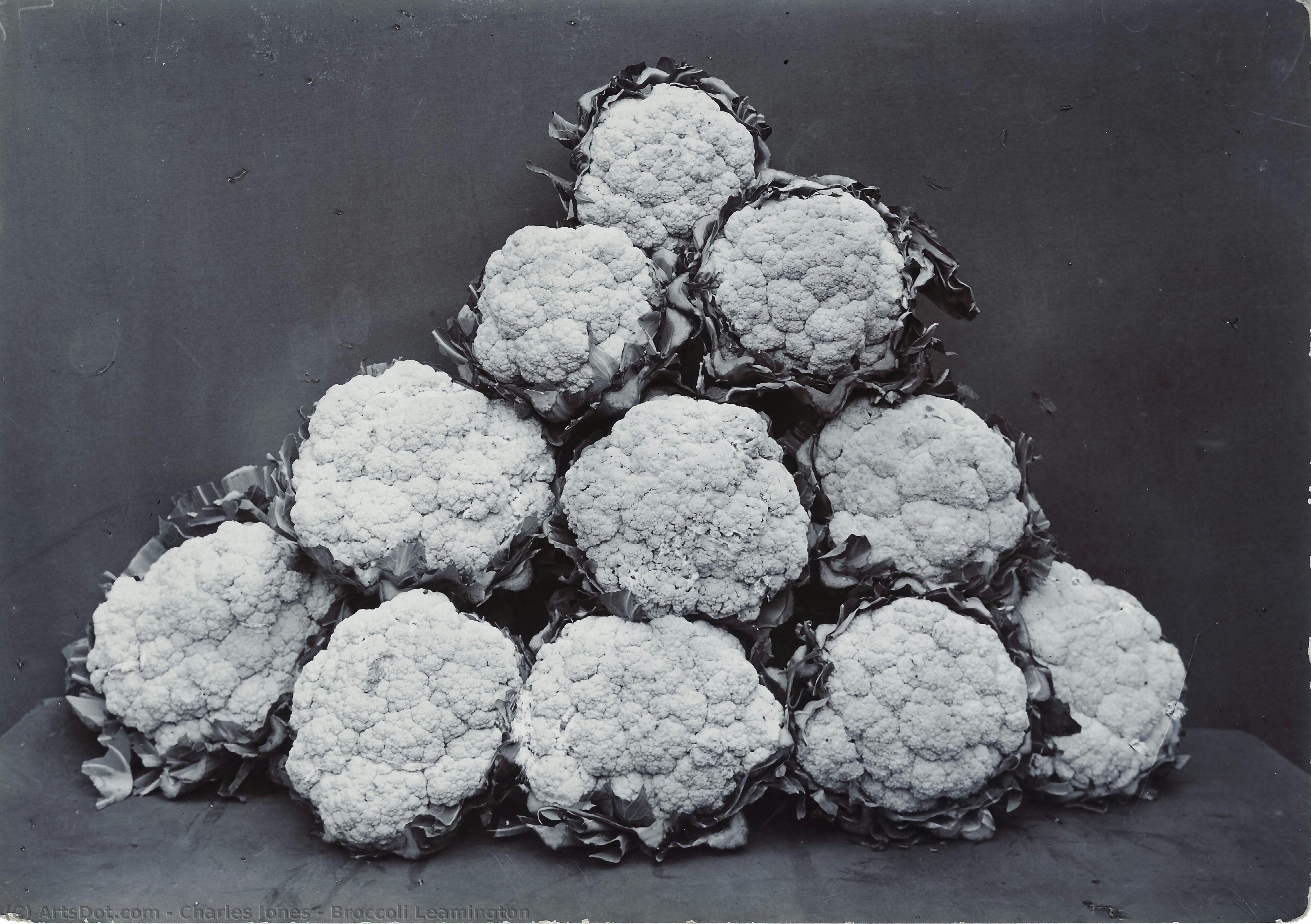 Broccoli Leamington — Charles Jones