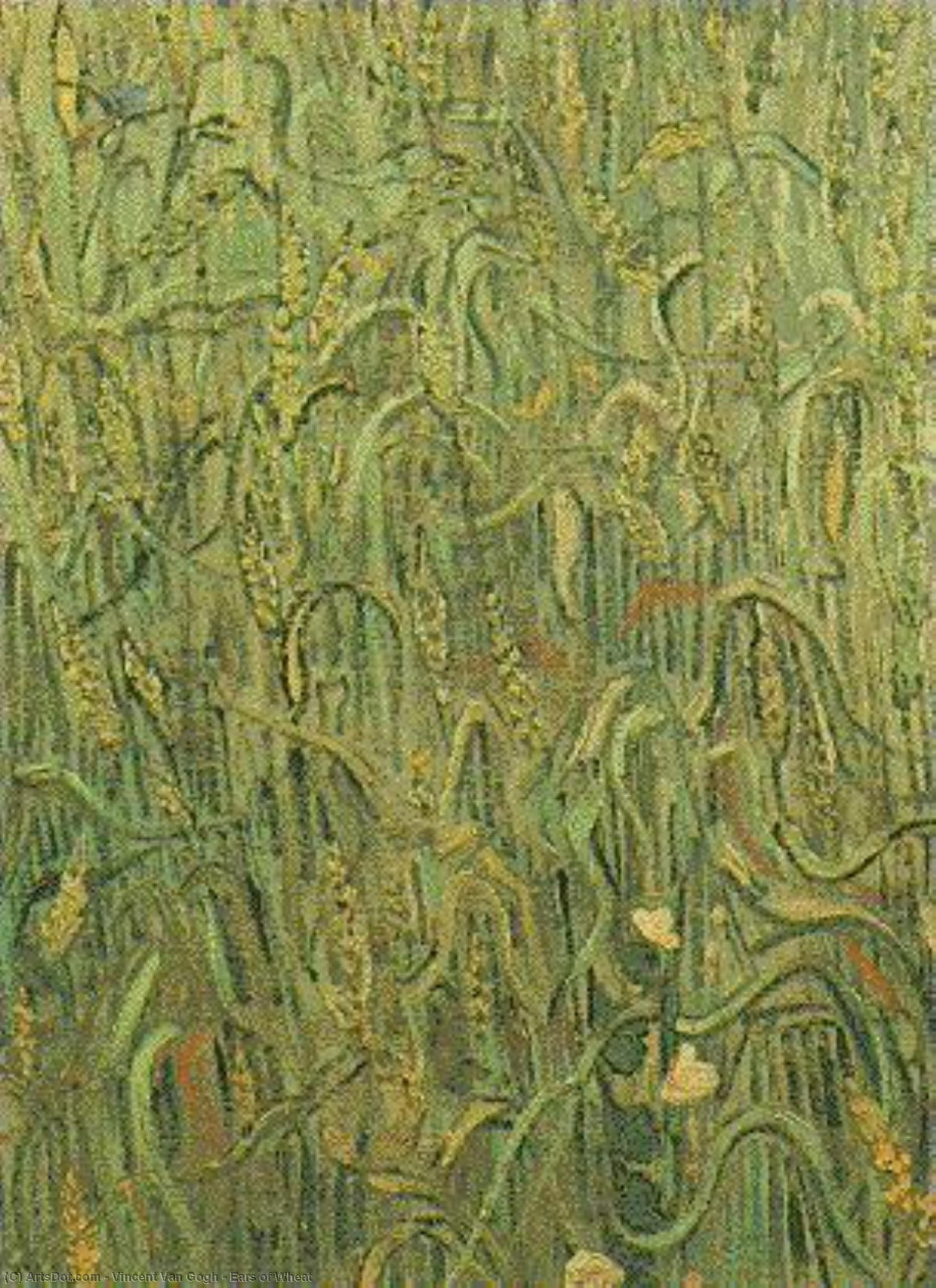 Ears Of Wheat — Vincent Willem Van Gogh