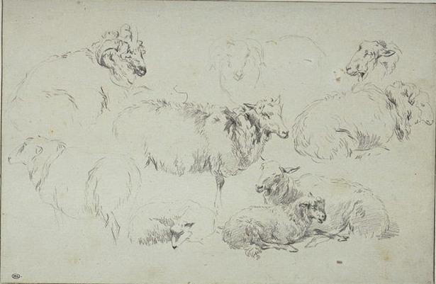 Study Of Nine Sheep — Nicolaes Pietersz Berchem