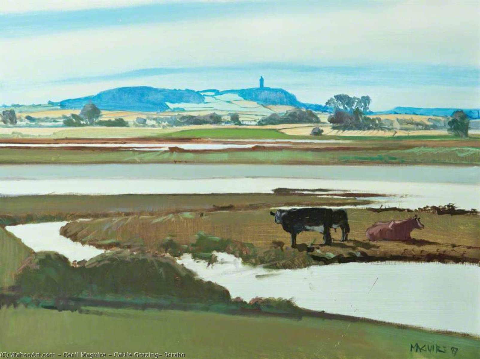 Cattle Grazing, Scrabo — Cecil Maguire