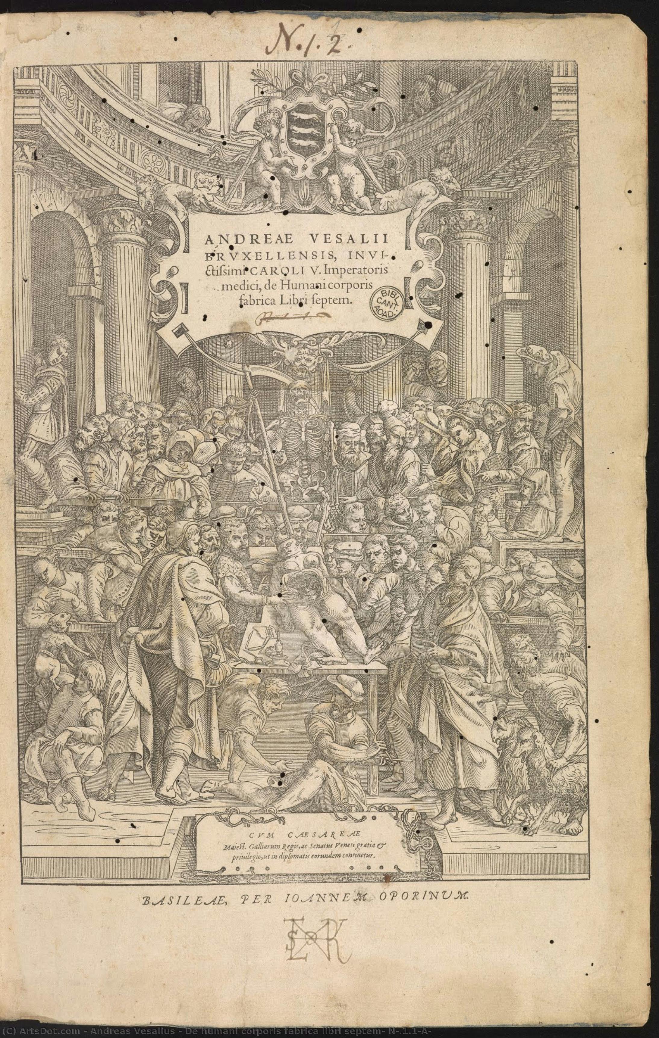 De Humani Corporis Fabrica Libri Septem, N*.1.1(a) — Andreas Vesalius