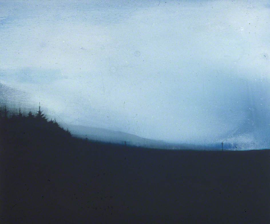 Forest Edge I — Elizabeth Magill