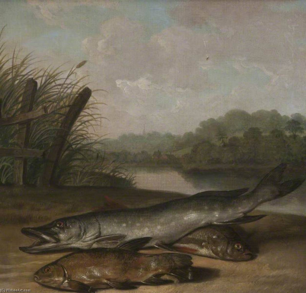Pike, Tench And Chub — Артур Уильям Девис