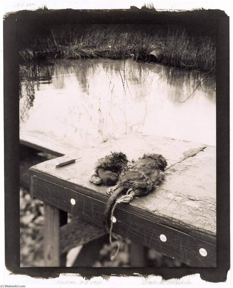 Hudson, New York — Andrea Modica