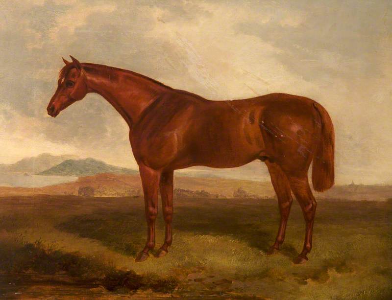 A Chestnut Hunter In A Field — Sr John E. Ferneley