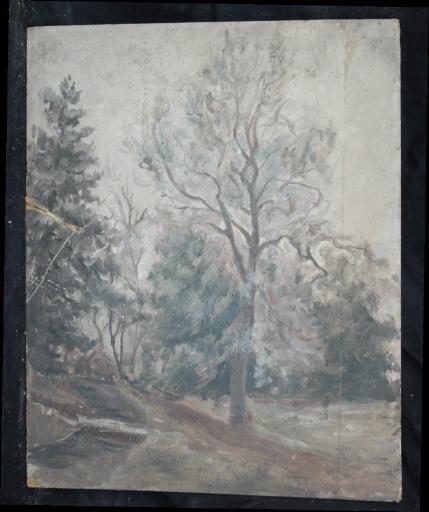 Grand Arbre Près D'un Sentier Et D'un Bois — Valentine Reyre