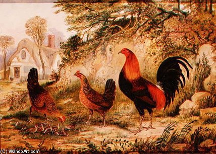 Cockerel, Hens And Chicks — Henry Thomas Alken