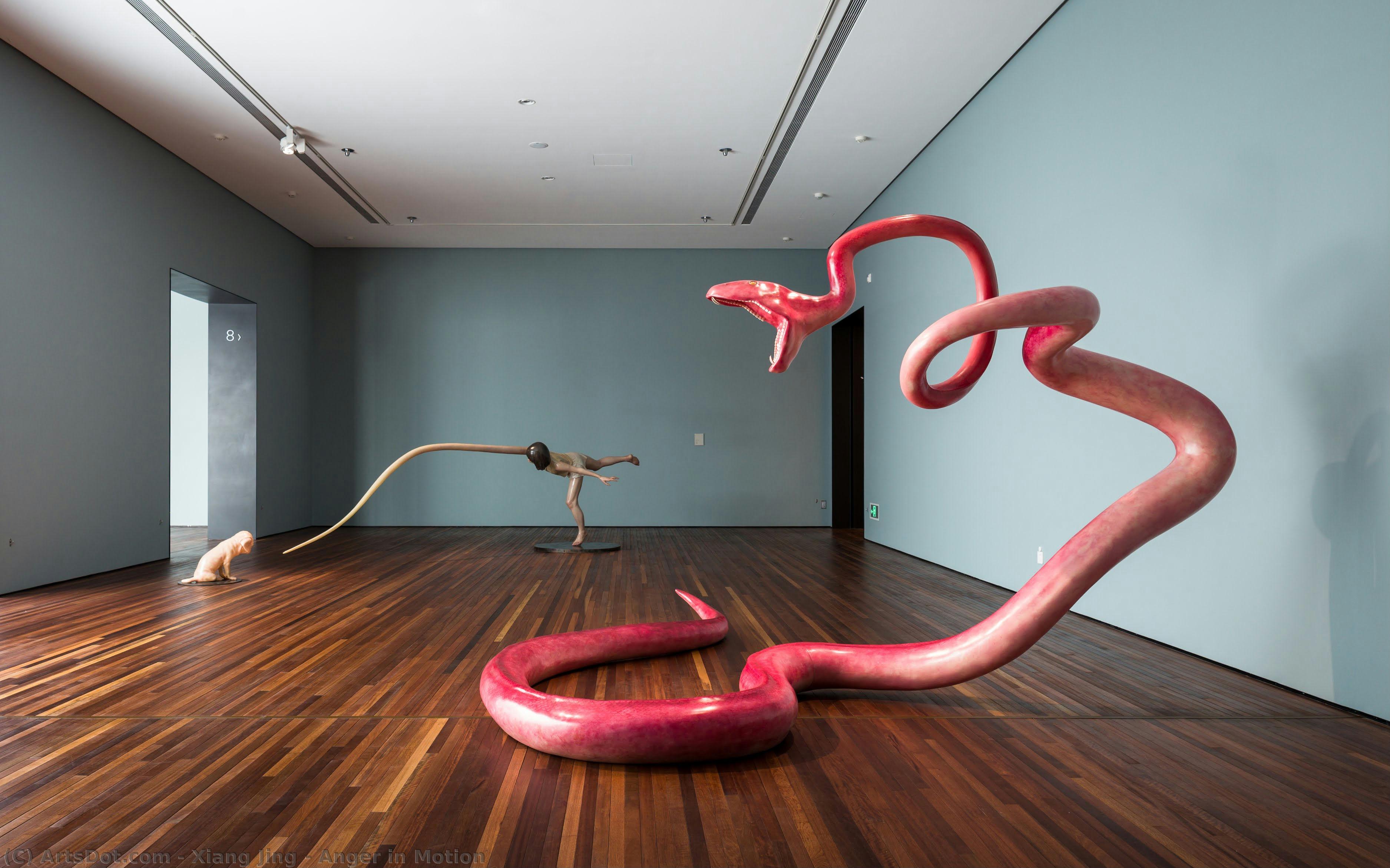 Anger In Motion — Xiang Jing