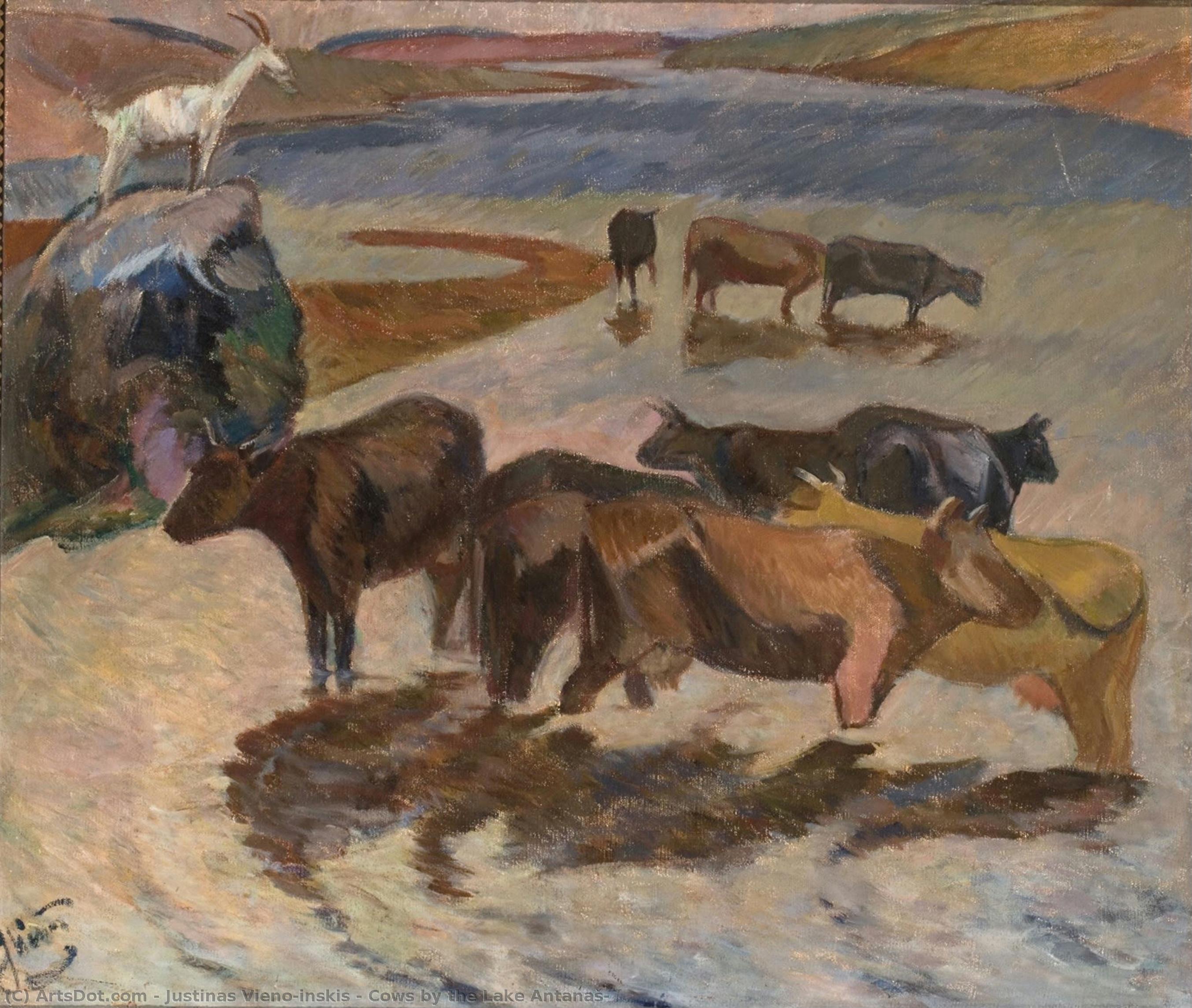 Cows By The Lake Antanašė — Justinas Vienožinskis