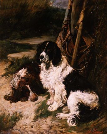 Brown And White And Black And White Spaniel — John Emms