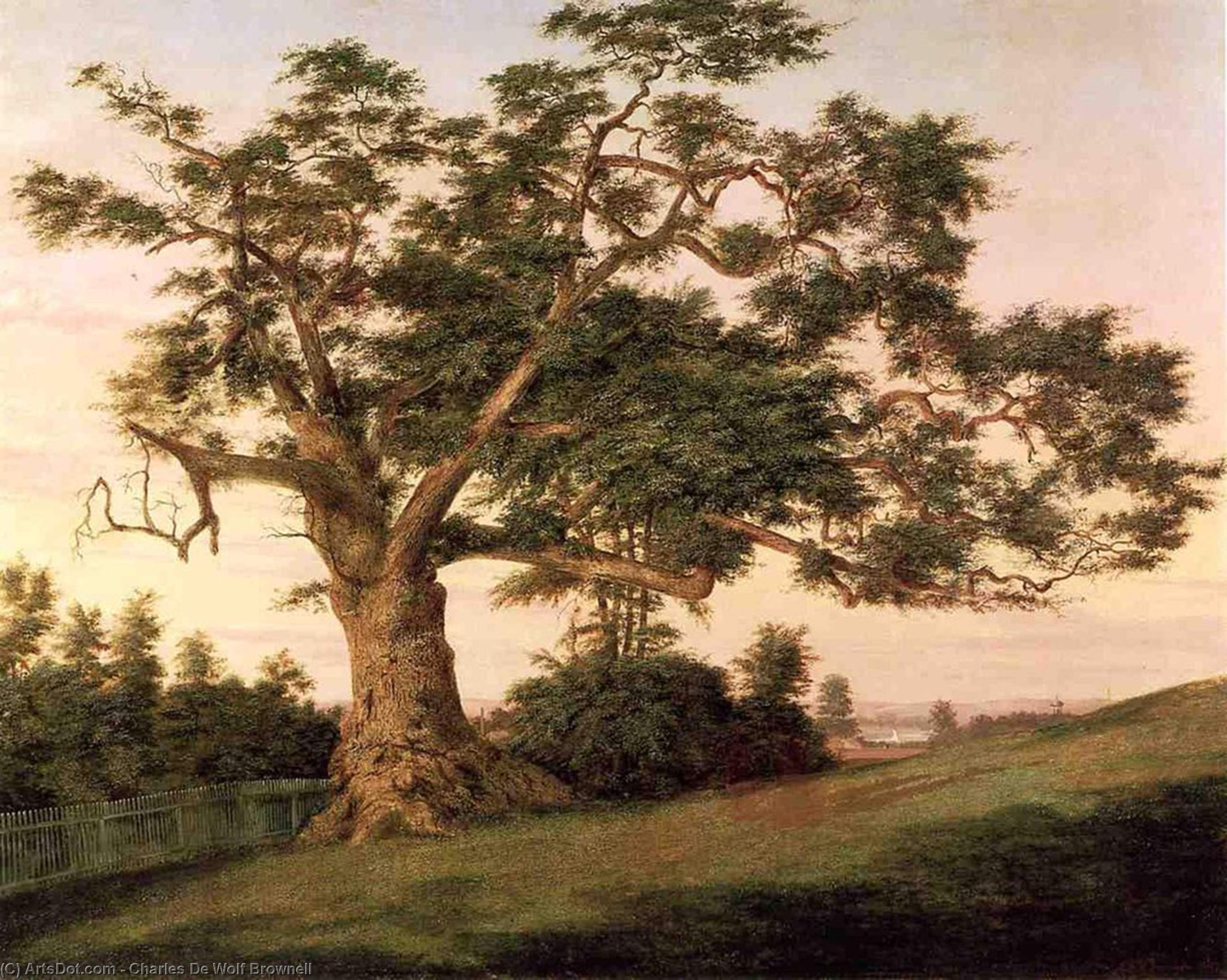 The Charter Oak — Charles De Wolf Brownell