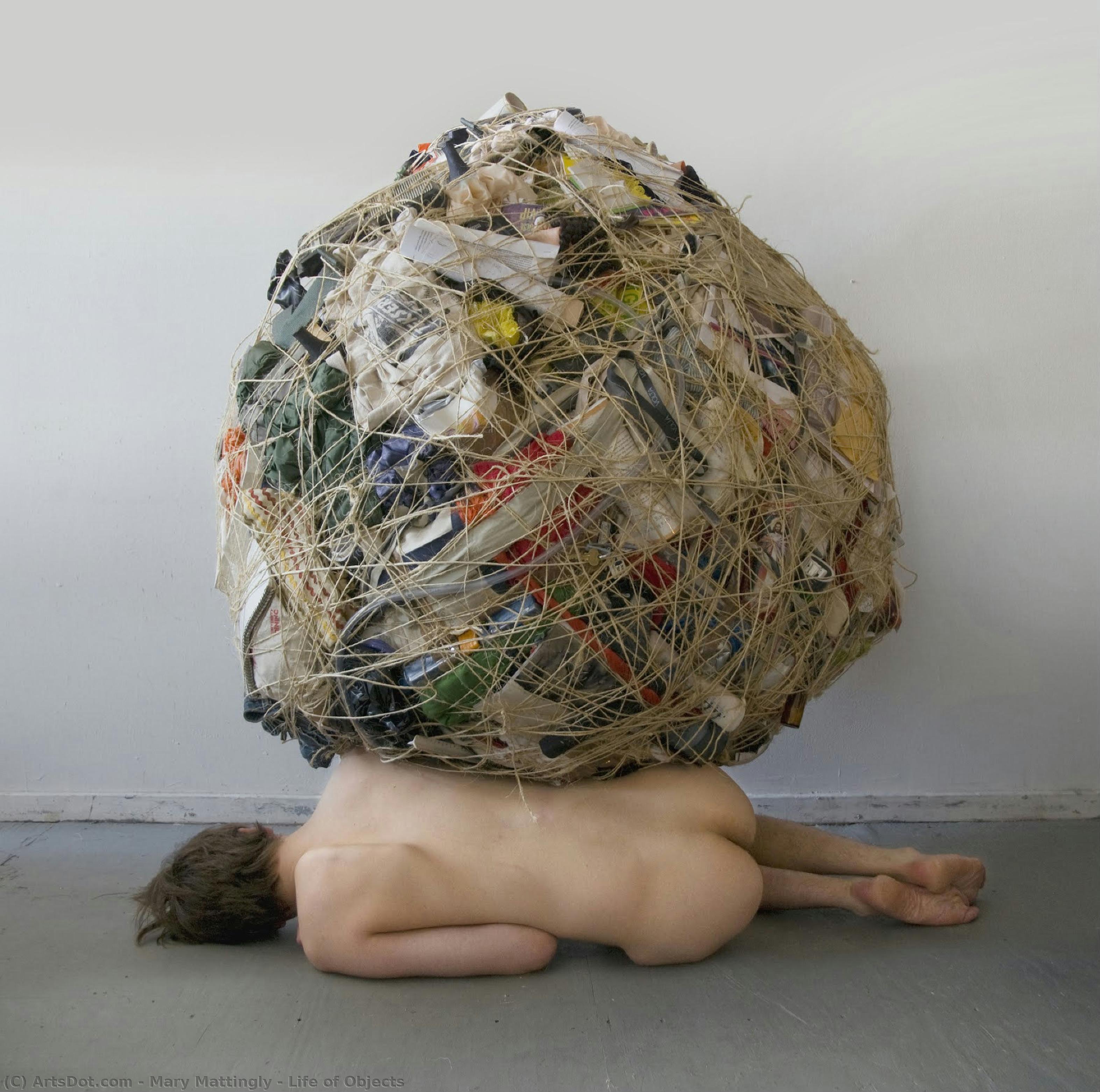 Life Of Objects — Mary Mattingly