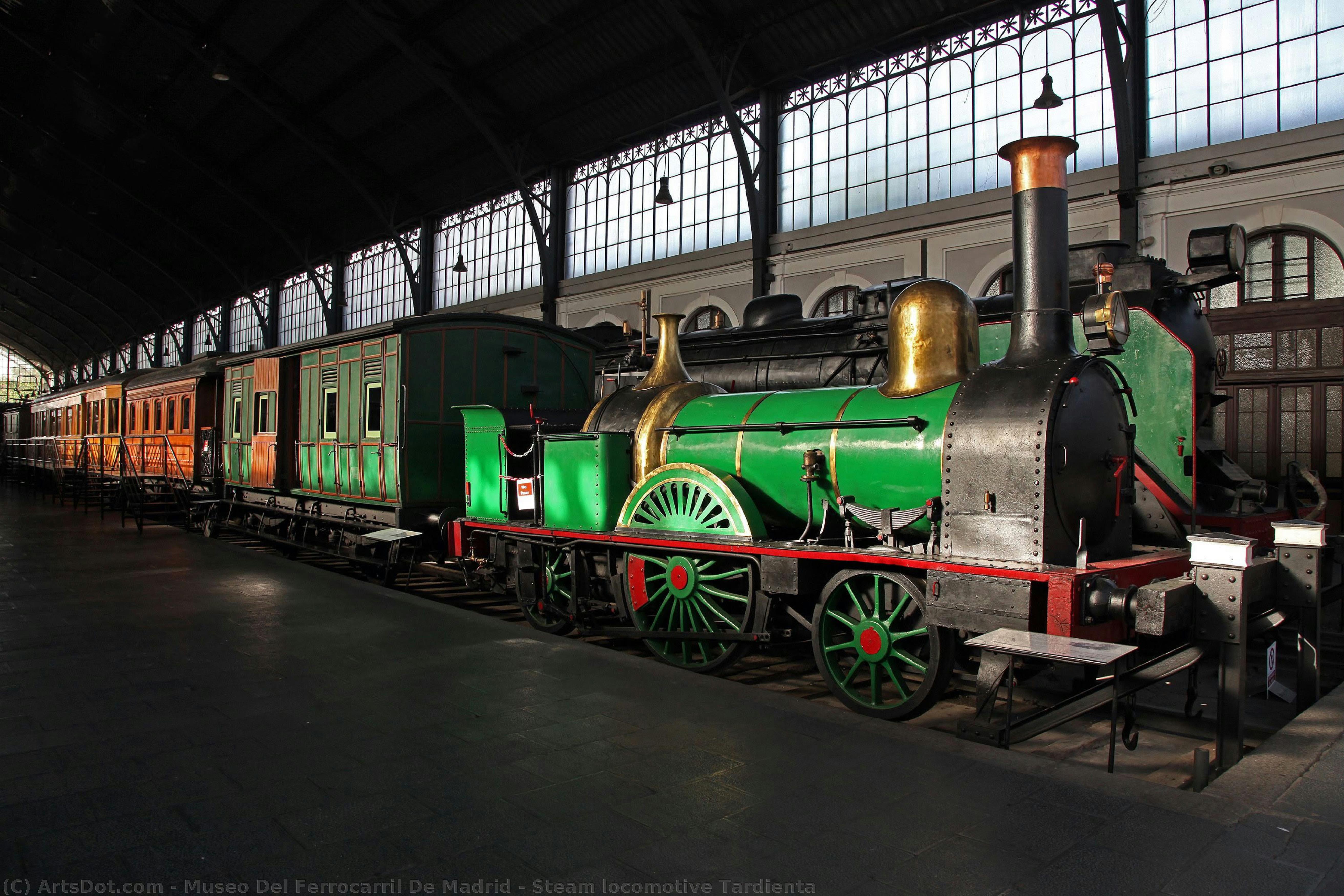 Steam Locomotive Tardienta — Eisenbahnmuseum Madrid