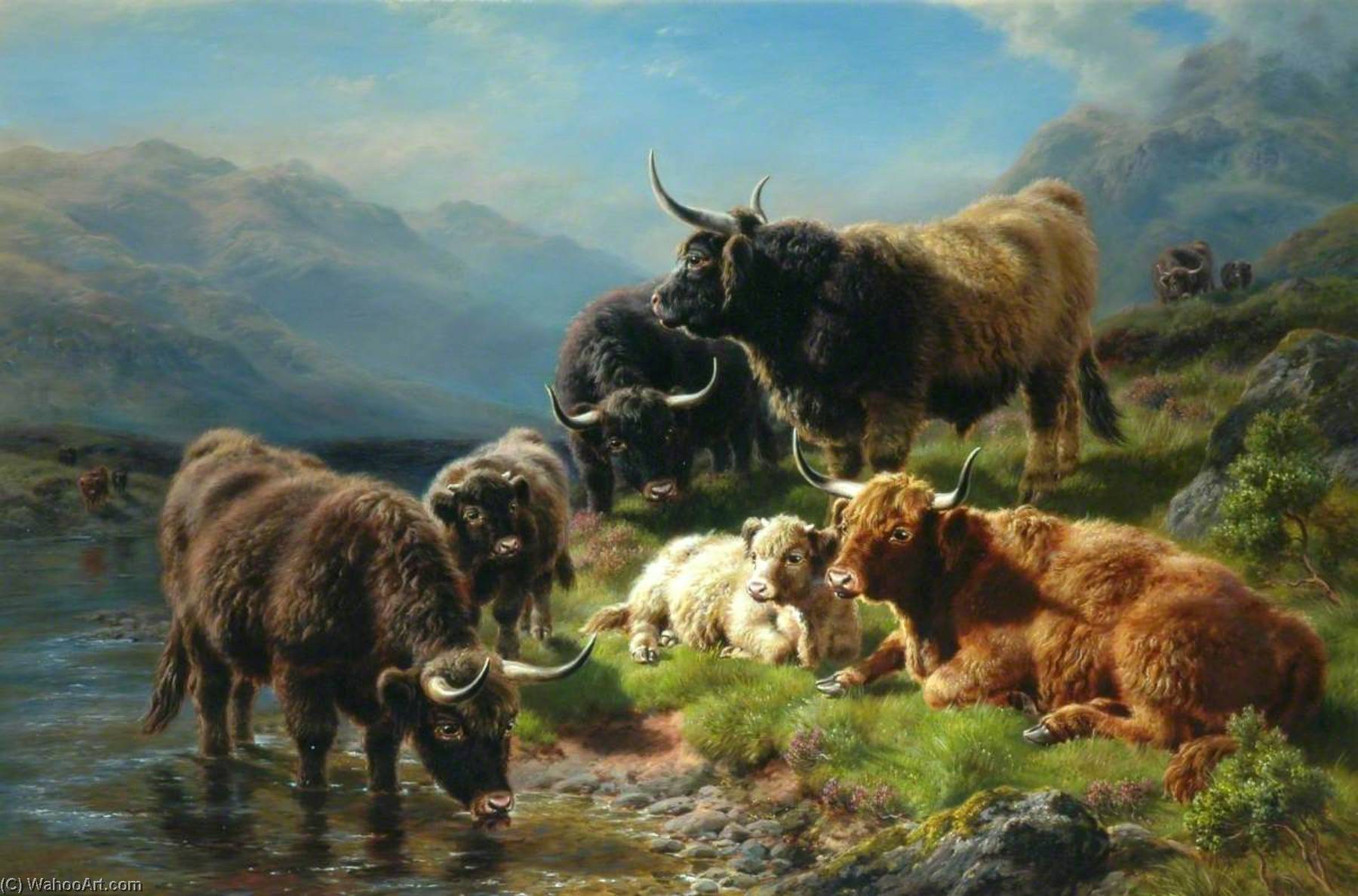 Highland Cattle — William Watson Ii