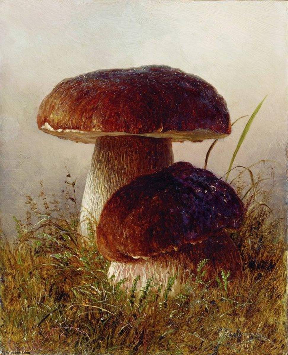 Mushrooms — Gavriil Kondratenko
