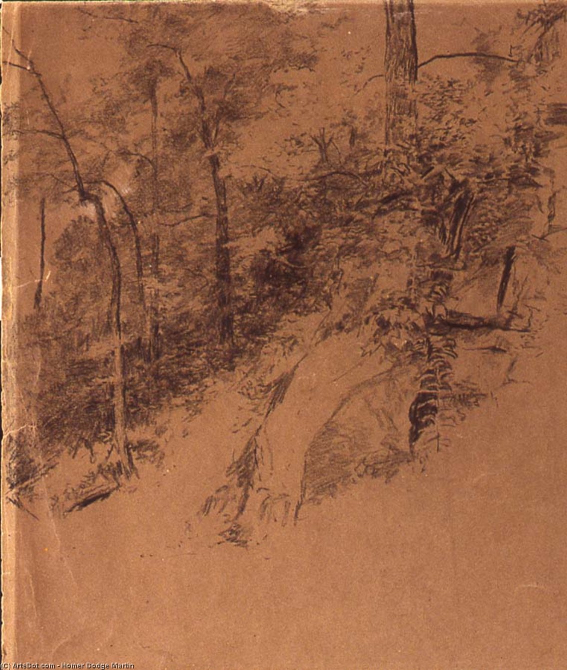Study Of Trees — Гром Дотт Мартин