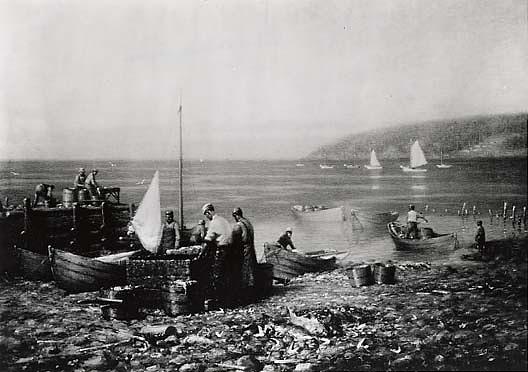 Whale Cove, Grand Manan, N.b., (painting) — William Edward Norton