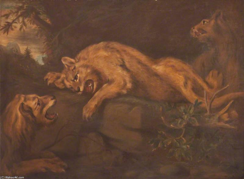 Mountain Lions — James Northcote