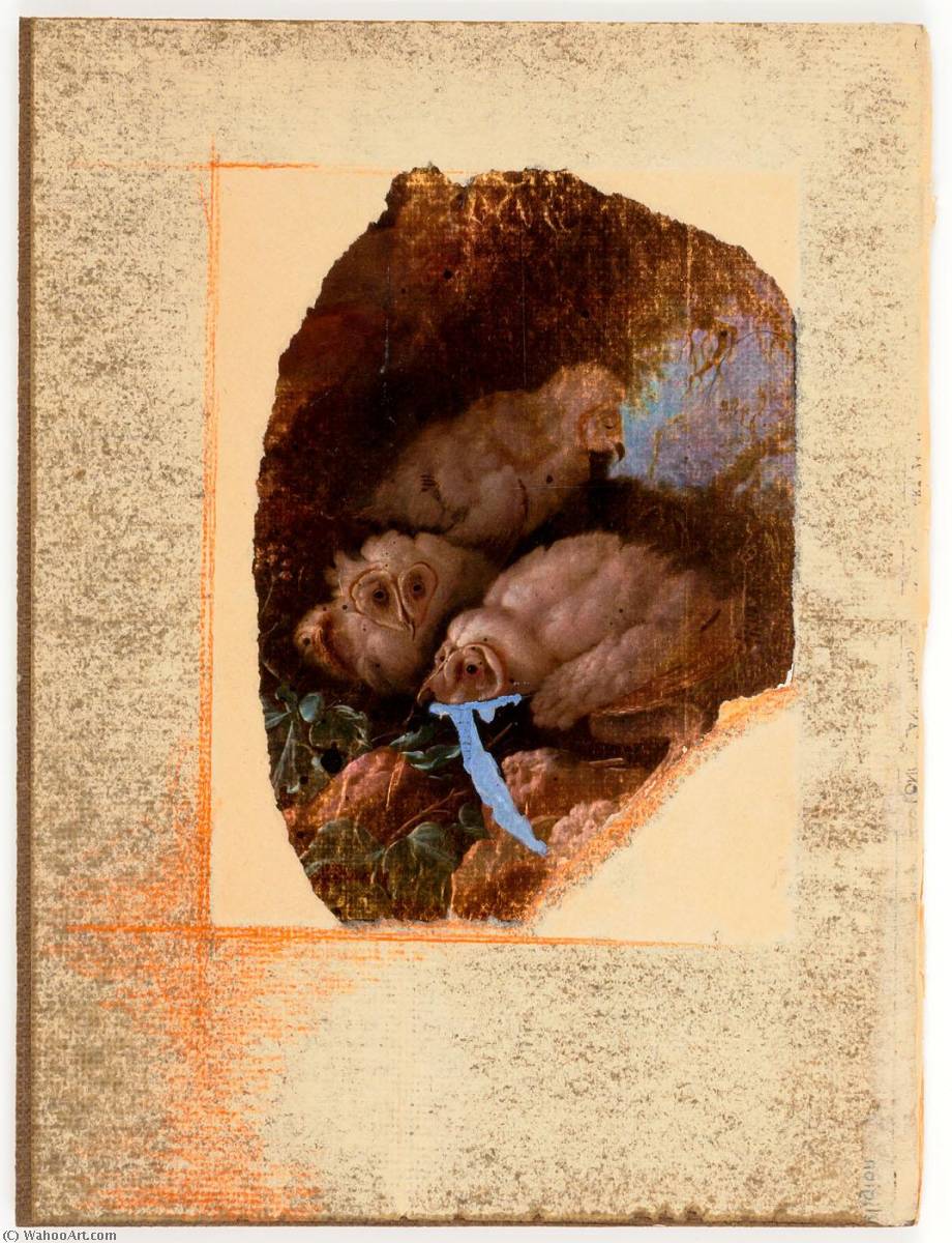 Untitled (audubon's Snow Owls) — Joseph Cornell