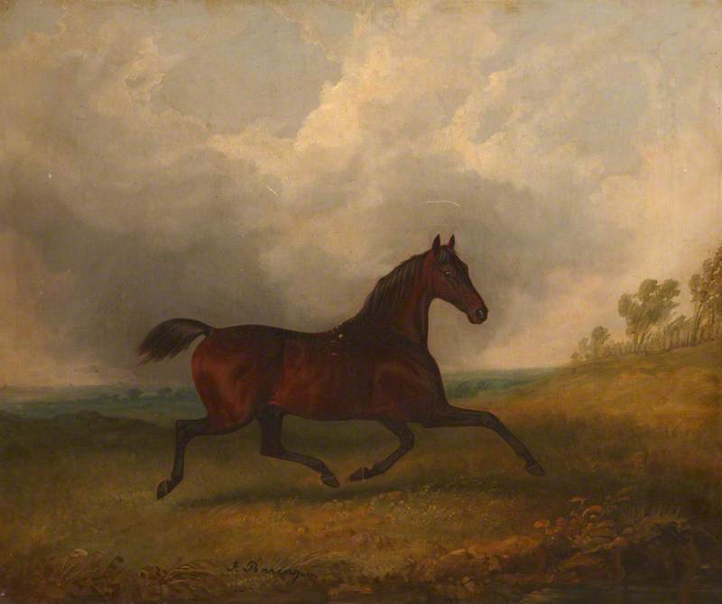 'pacha', A Bay Horse Trotting In A Landscape — James Barenger
