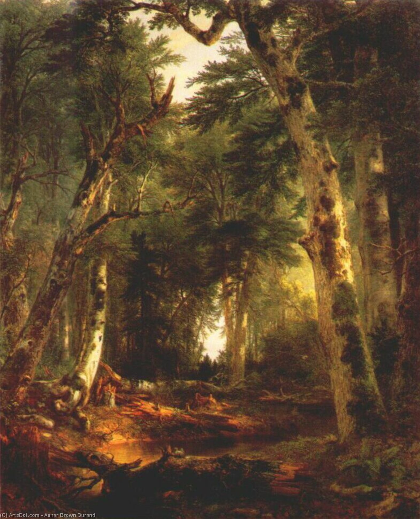 In The Woods — Ašer Braun Durand