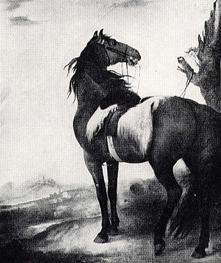 Horse, (painting) — Джон Синглтон Копли