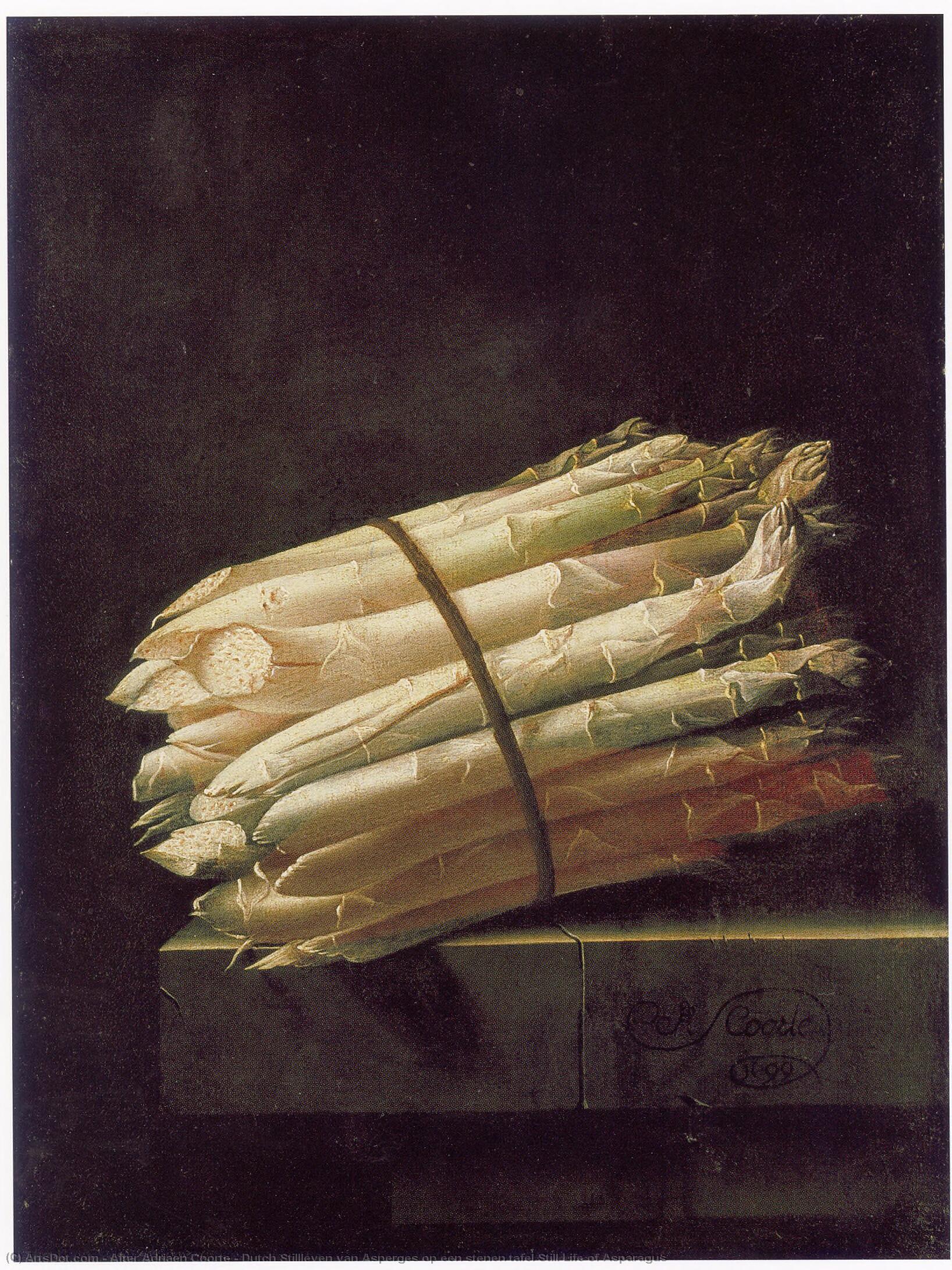 Dutch Stillleven Van Asperges Op Een Stenen Tafel Still Life Of Asparagus — After Adriaen Coorte
