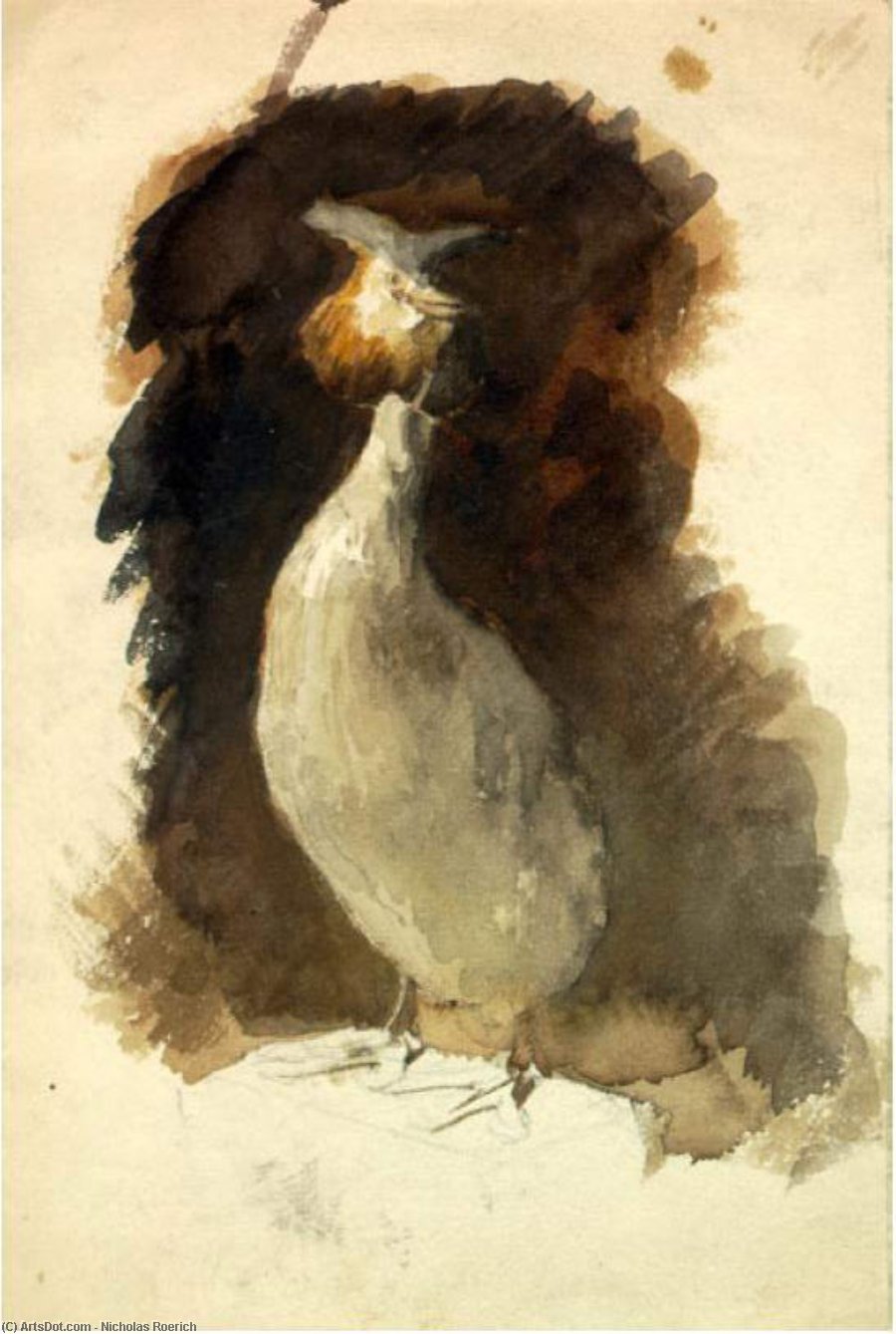 Stuffed Grouse — Nikola Roerić