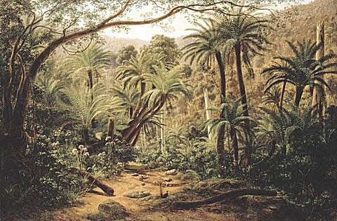 Ferntree Gully In The Dandenong Ranges — Eugene Von Guérard