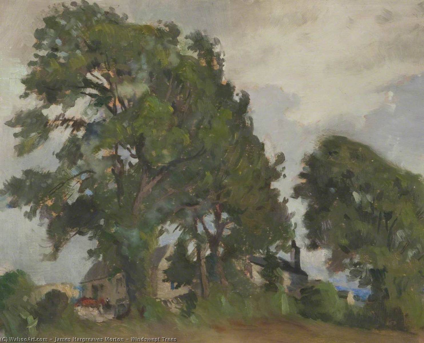 Windswept Trees — James Hargreaves Morton