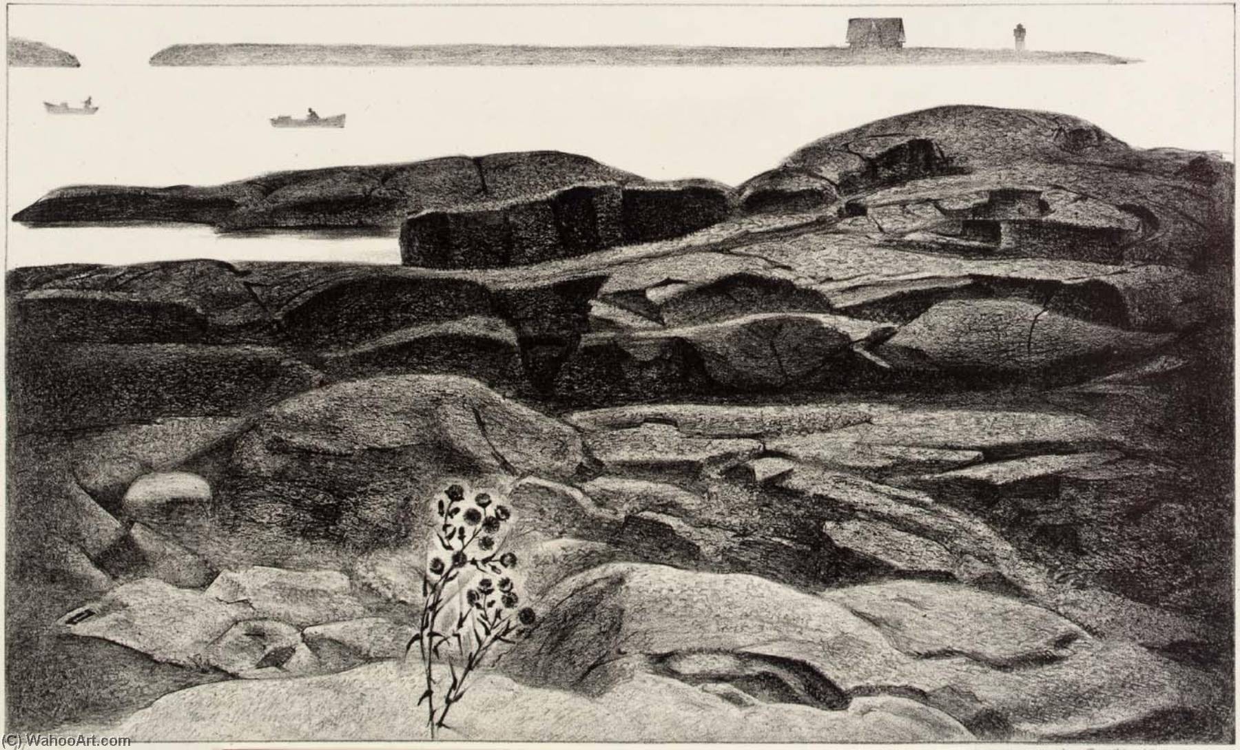 Maine Coast — Луи Лозовик