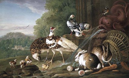 Birds And Rabbits — Pieter Casteels