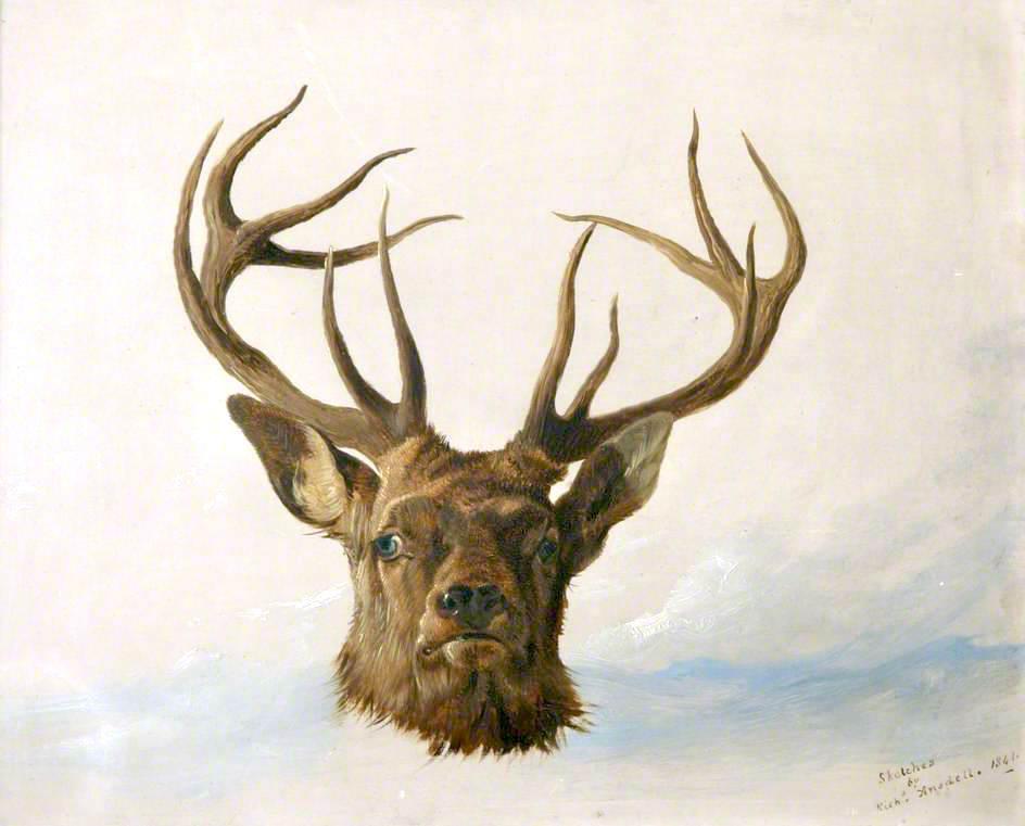 Head Of A Stag (full Face) — Richard Ansdell