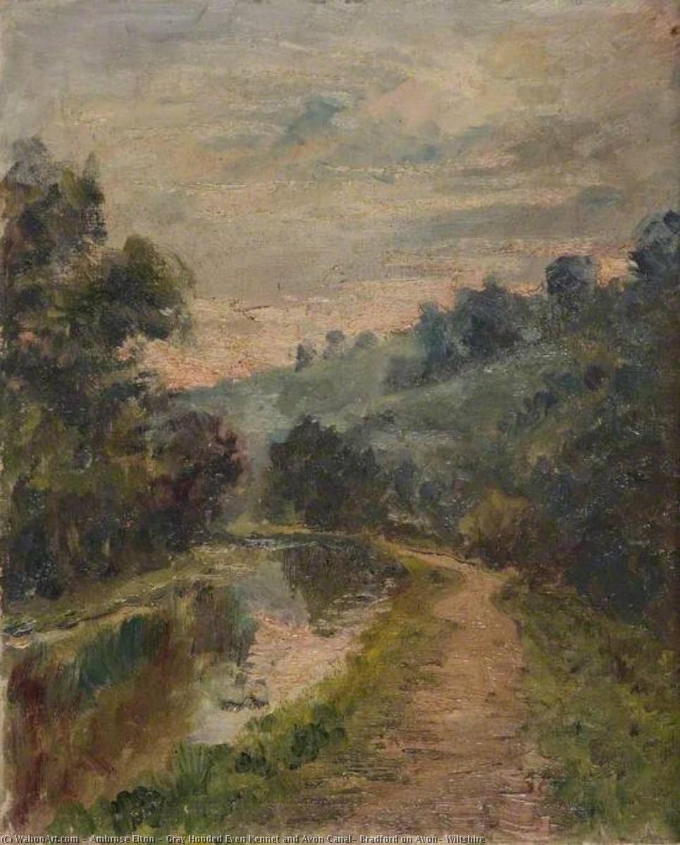 Gray Hooded Even Kennet And Avon Canal, Bradford On Avon, Wiltshire — Ambrose Elton