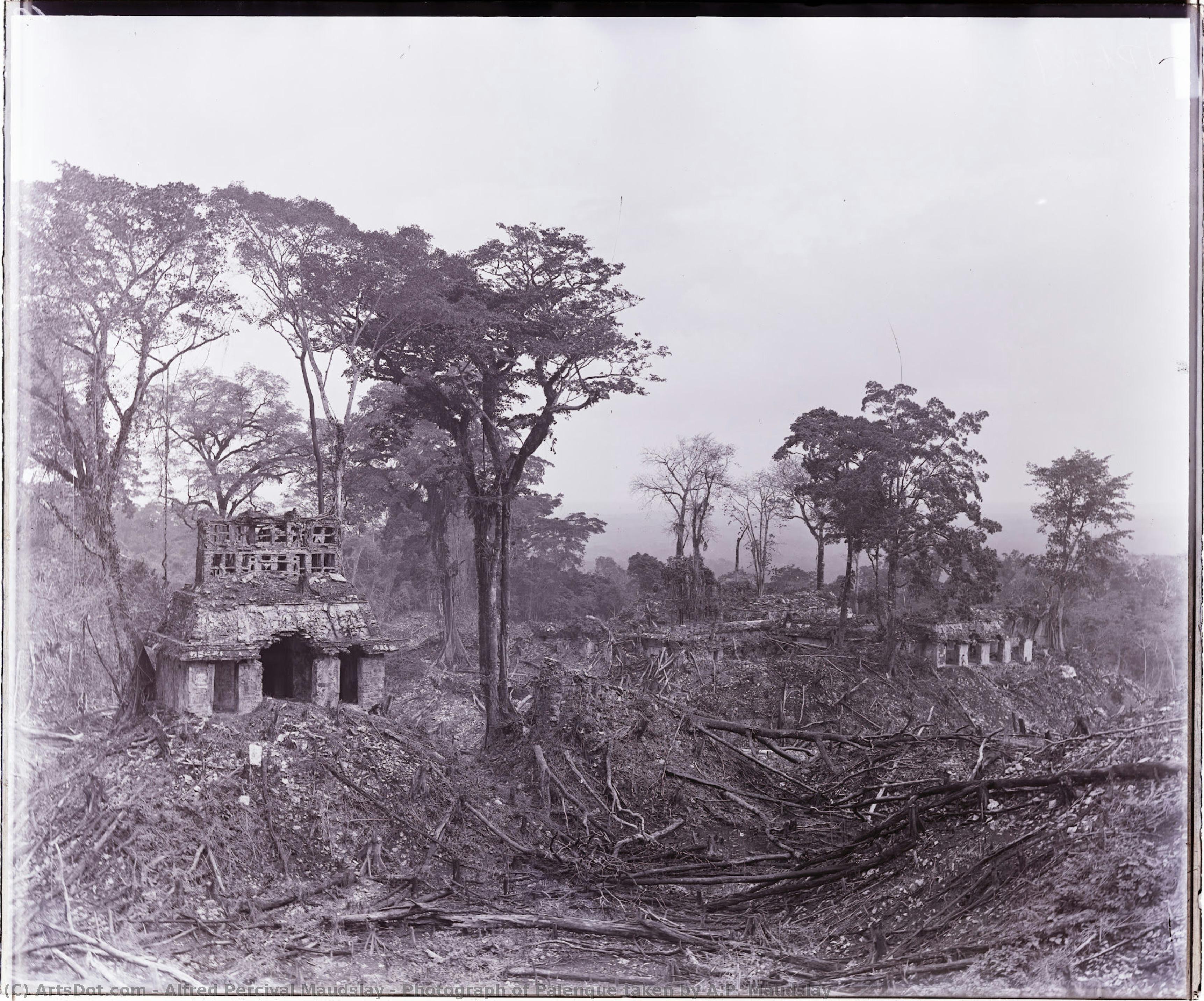 Photograph Of Palenque Taken By A.p. Maudslay — Alfred Percival Maudslay