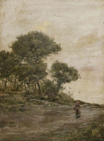 Paisaje — Eliseo Meifrèn I Roig