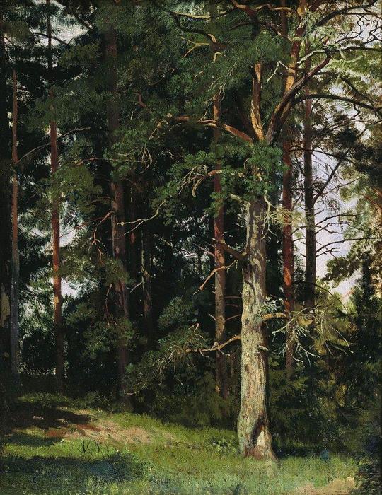 Forest (14) — Ivan Ivanovich Shishkin