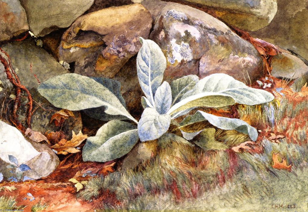 Mullen And Rocks — Charles Herbert Moore