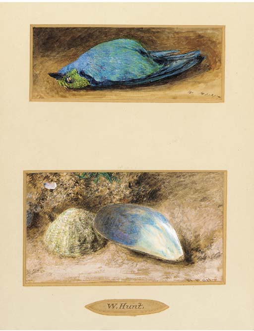 Still Life Of A Dead Bird; And Still Life Of Two Shells On A Mossy Bank — William Henry Hunt