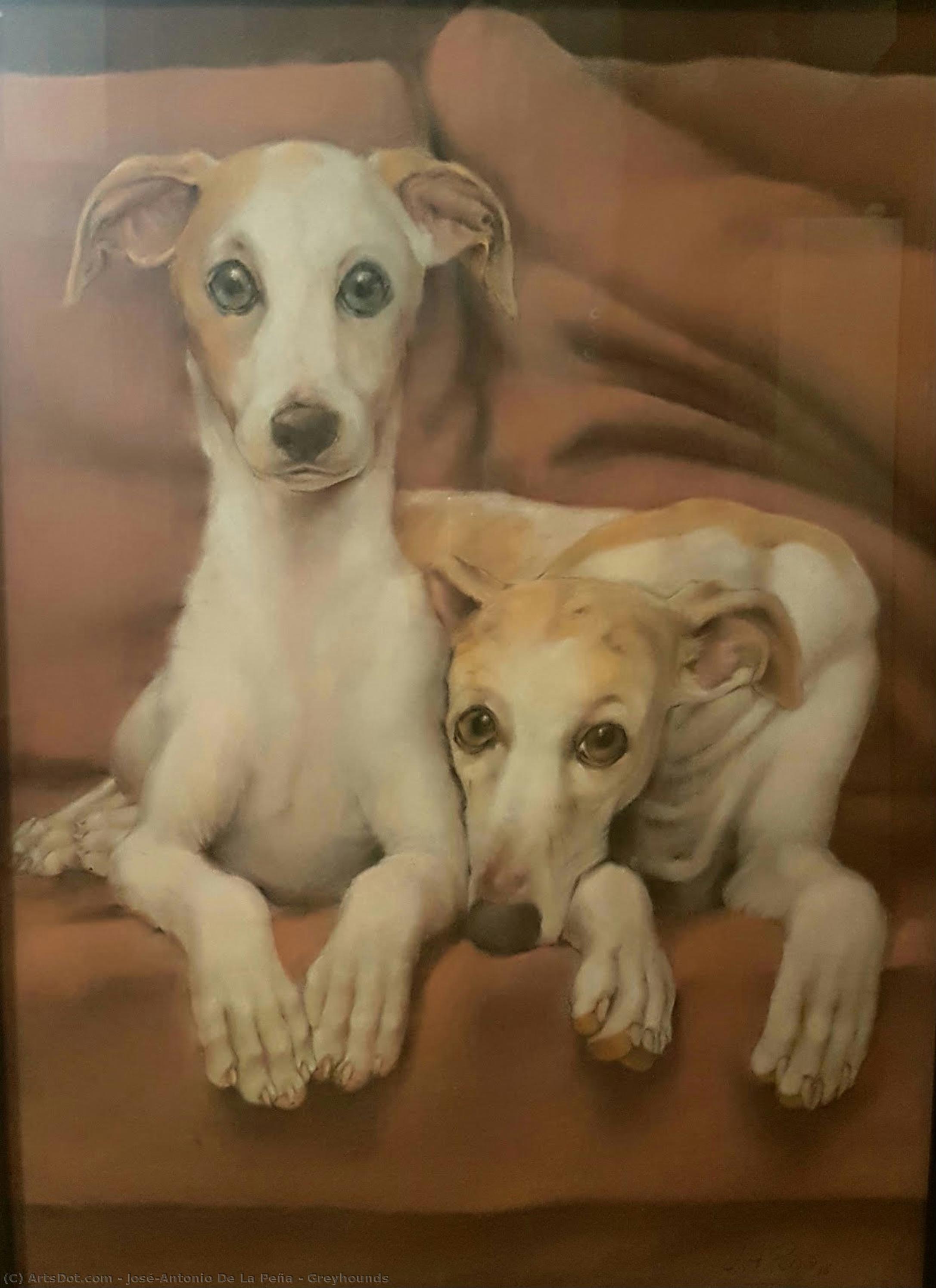 Greyhounds — José-antonio De La Peña