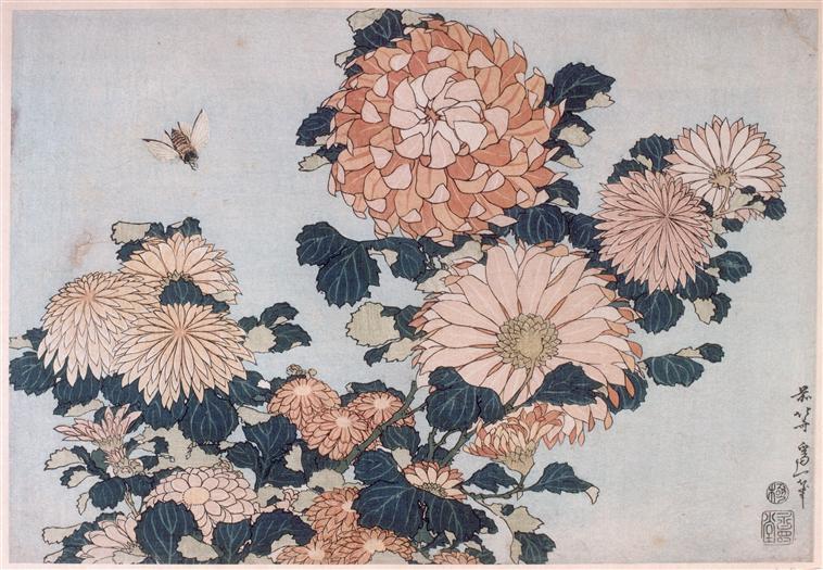 Chrysanthemums And Horsefly — Katsushika Hokusai