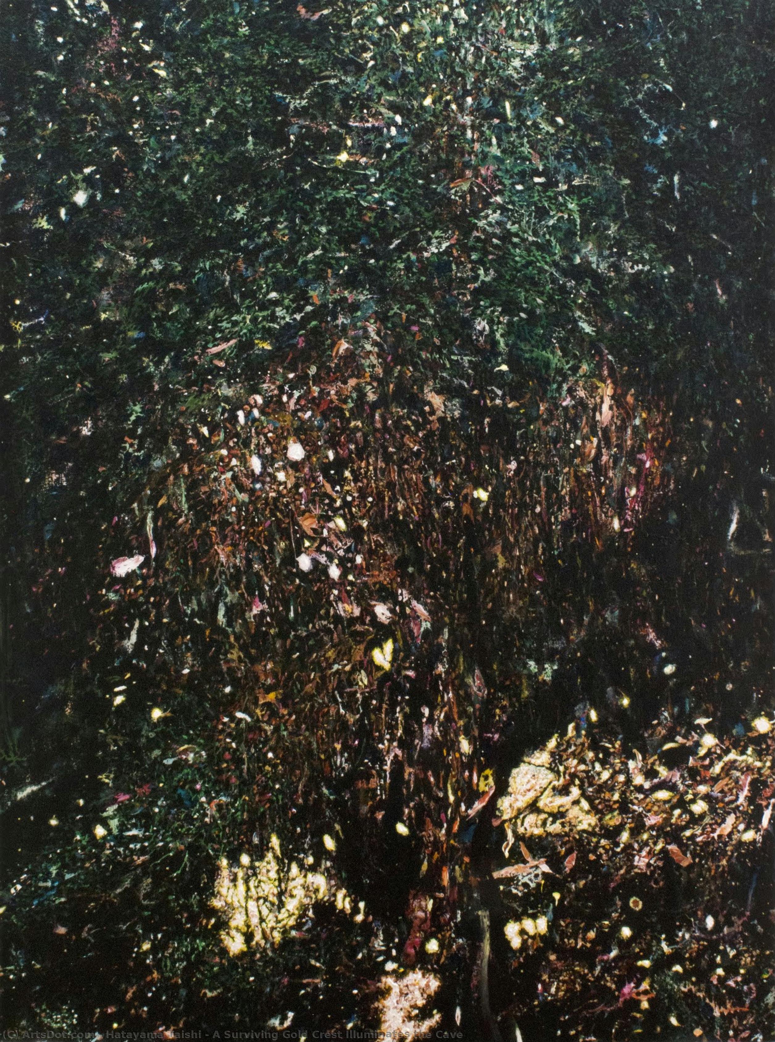 A Surviving Gold Crest Illuminates The Cave — Hatayama Taishi