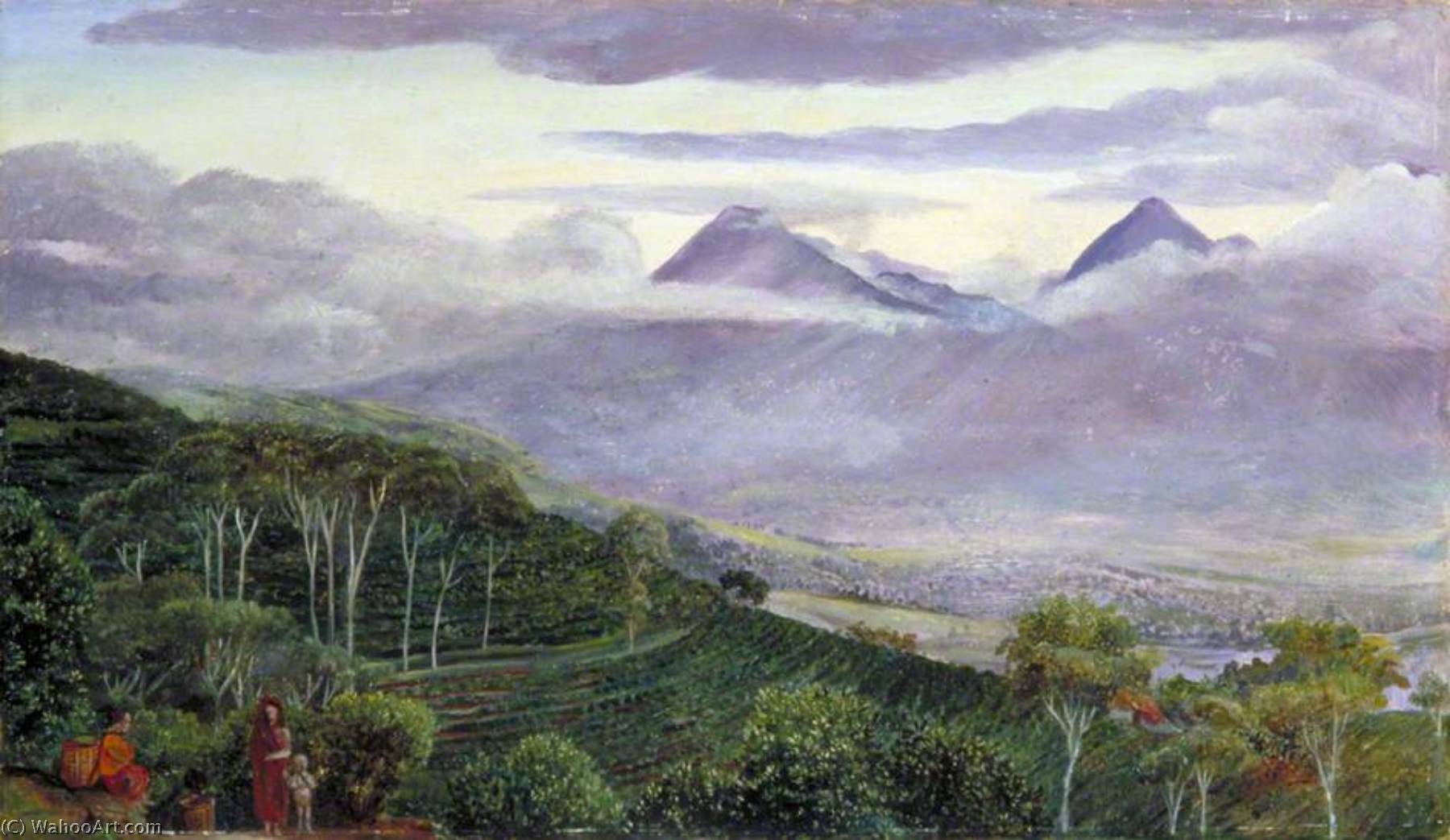 The Papandayang Volcano, Java, Seen From Mr Hölle's Tea Plantations — Marianne North