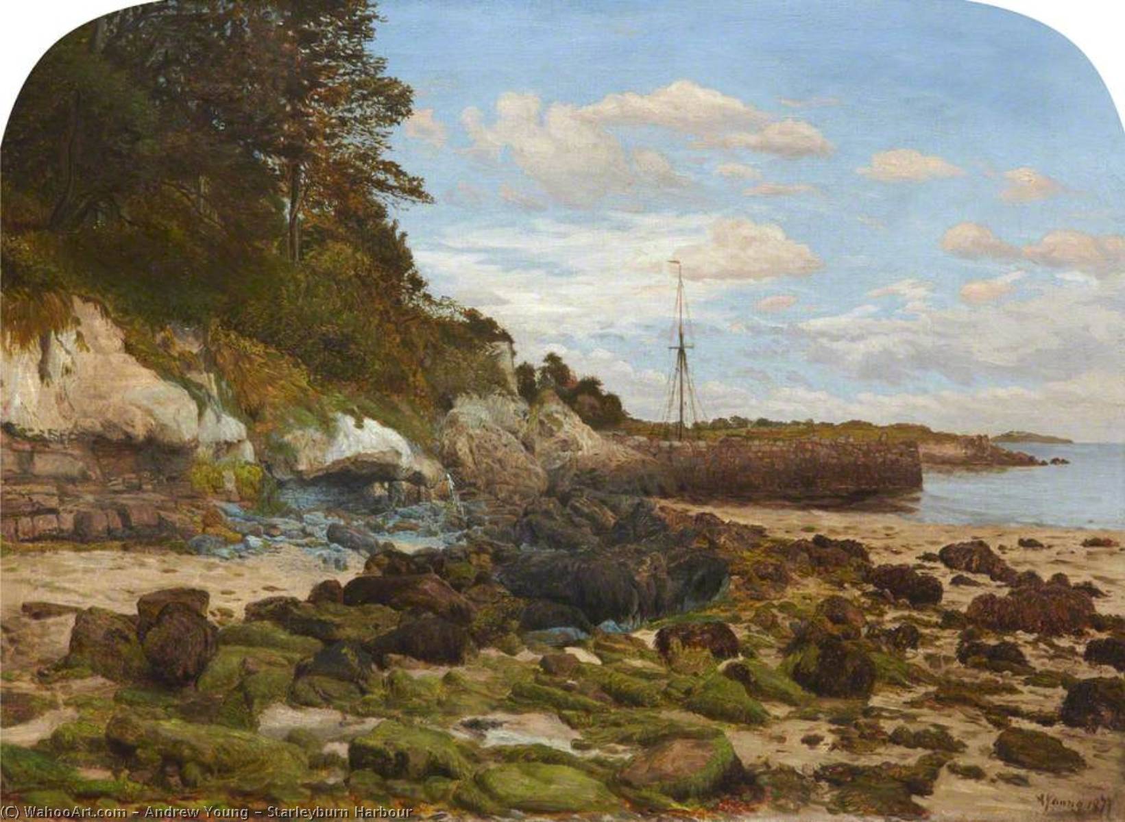 Starleyburn Harbour — Andrew Young